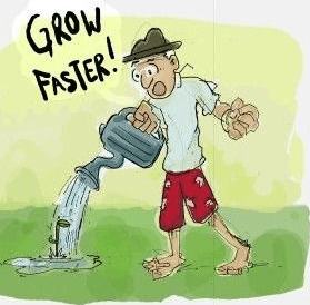Grow faster 2